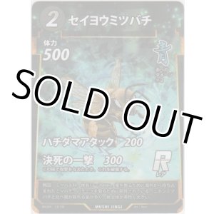 画像: セイヨウミツバチ