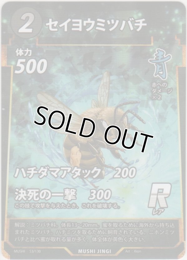 画像1: セイヨウミツバチ