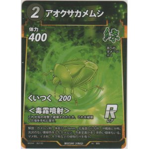 画像: アオクサカメムシ
