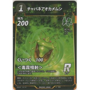 画像: チャバネアオカメムシ
