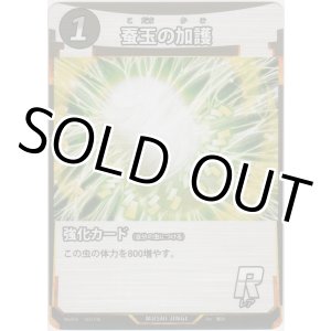 画像: 蚕玉の加護