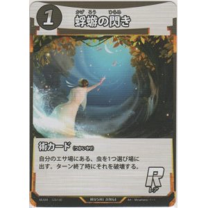 画像: 蜉蝣の閃き