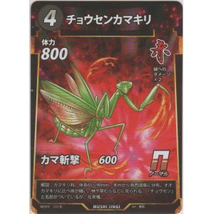 画像: チョウセンカマキり