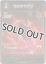 画像: クロヤマアリ