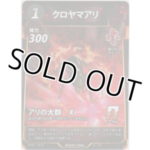 画像: クロヤマアリ