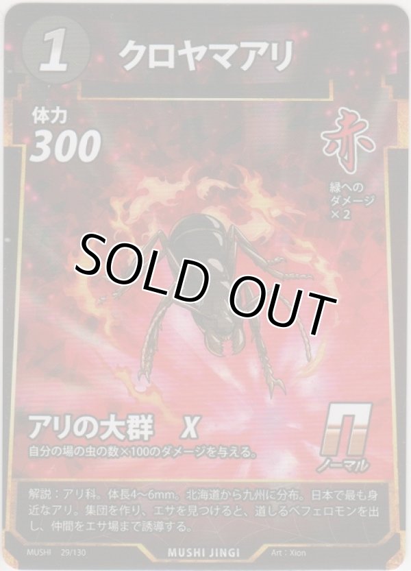 画像1: クロヤマアリ