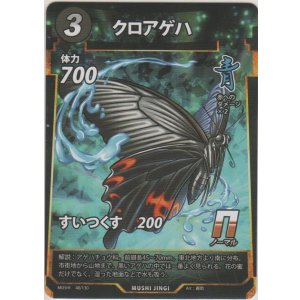 画像: クロアゲハ