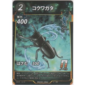 画像: コクワガタ