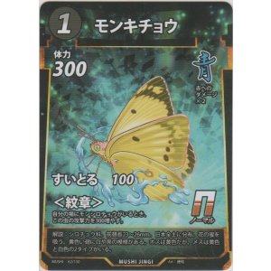 画像: モンキチョウ