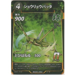 画像: ショウウリョウバッタ