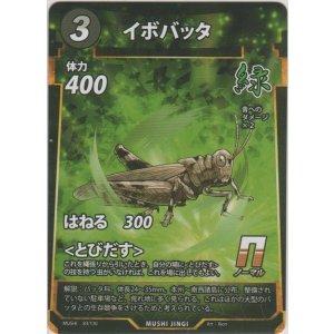 画像: イボバッタ