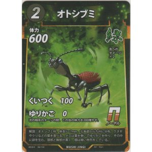 画像: オトシブミ