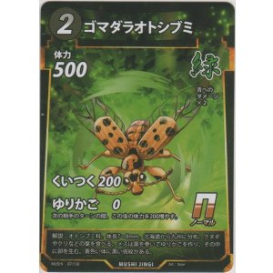画像: ゴマダラオトシブミ