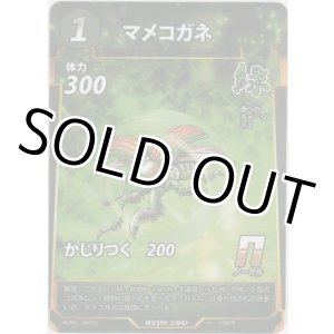 画像: マメコガネ