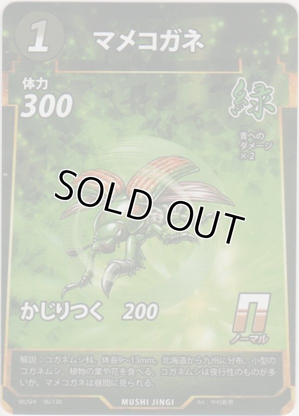 画像1: マメコガネ