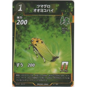 画像: ツマグロオオヨコバイ