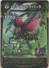 画像: キマダラドクバッタ