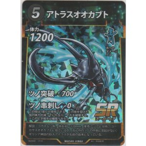 画像: アトラスオオカブト