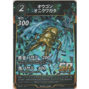 画像: オウゴンオニクワガタ