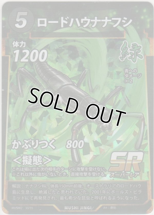 画像1: ロードハウナナフシ