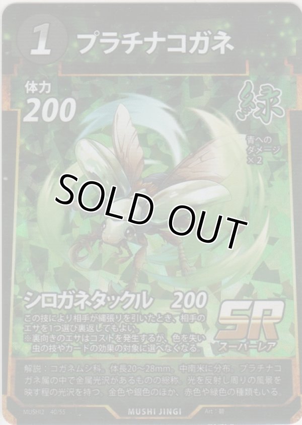 画像1: プラチナコガネ