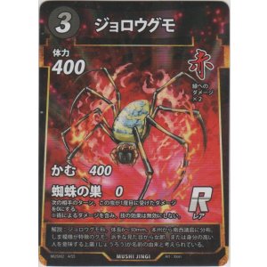画像: ジョロウグモ