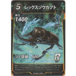画像: レックスゾウカブト