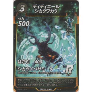 画像: ディディエールシカクワガタ