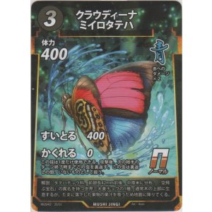 画像: クラウディーナミイロタテハ