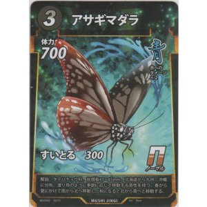画像: アサギマダラ