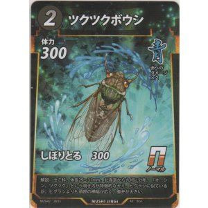 画像: ツクツクボウシ