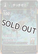 画像: チッチゼミ