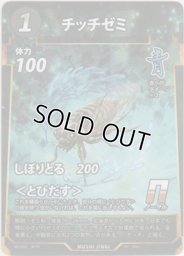 画像1: チッチゼミ