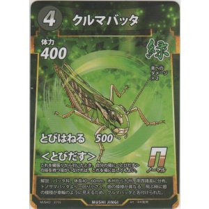 画像: クルマバッタ