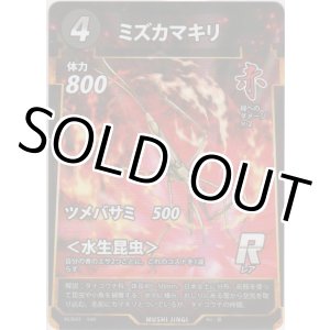 画像: ミズカマキリ