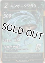 画像: キンオニクワガタ