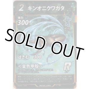 画像: キンオニクワガタ