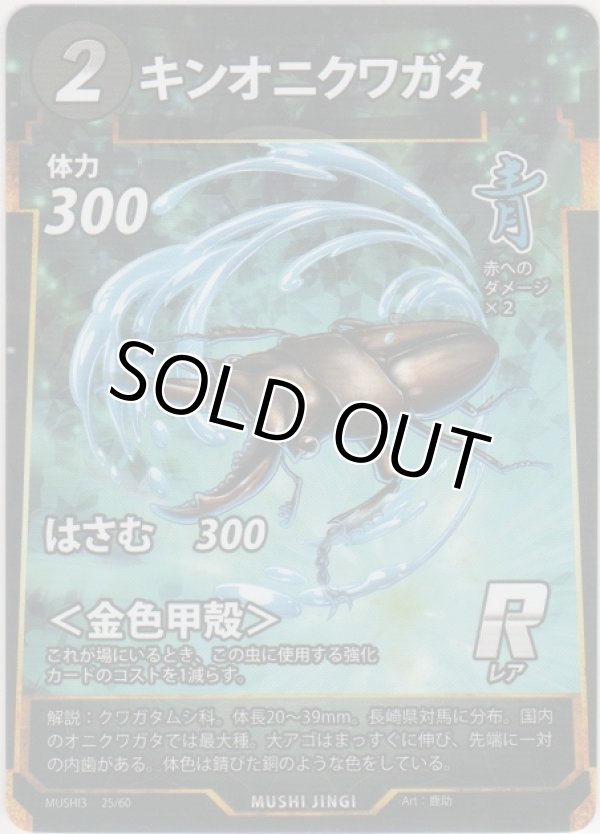 画像1: キンオニクワガタ