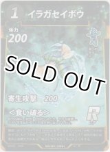 画像: イラガセイボウ