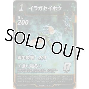 画像: イラガセイボウ