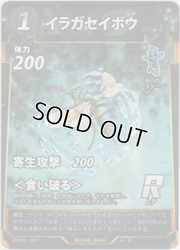 画像1: イラガセイボウ