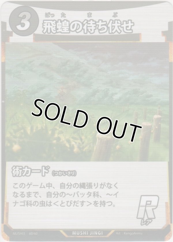 画像1: 飛蝗の待ち伏せ