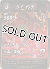 画像: タイコウチ