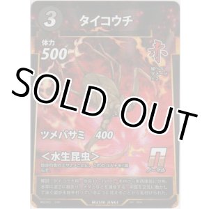 画像: タイコウチ