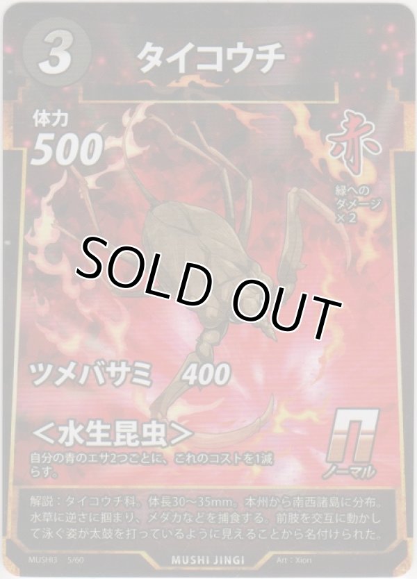 画像1: タイコウチ