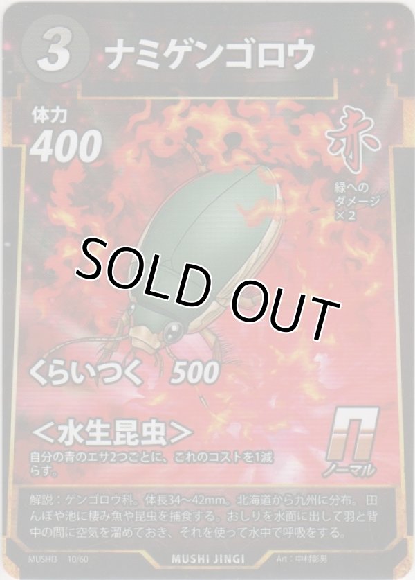 画像1: ナミゲンゴロウ