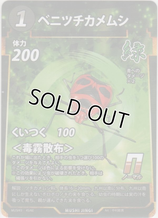 画像1: ベニツチカメムシ