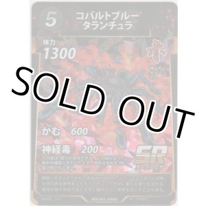 画像: コバルトブルータランチュラ