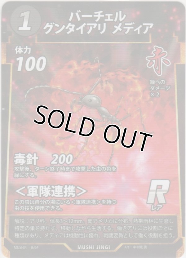 画像1: バーチェルグンタイアリ メディア