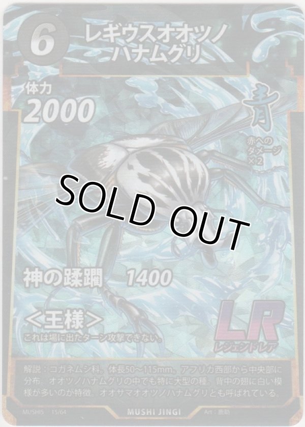 画像1: レギウスオオツノハナムグリ